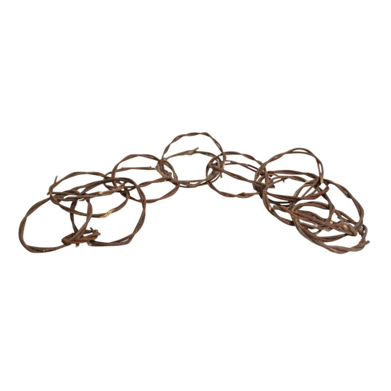 Guirlande Druivenrank