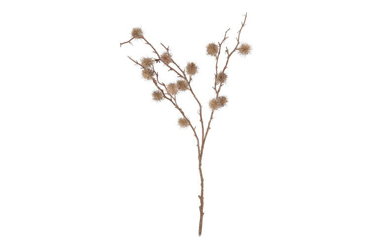 Wonderboom gedroogd beige (kunstbloem)