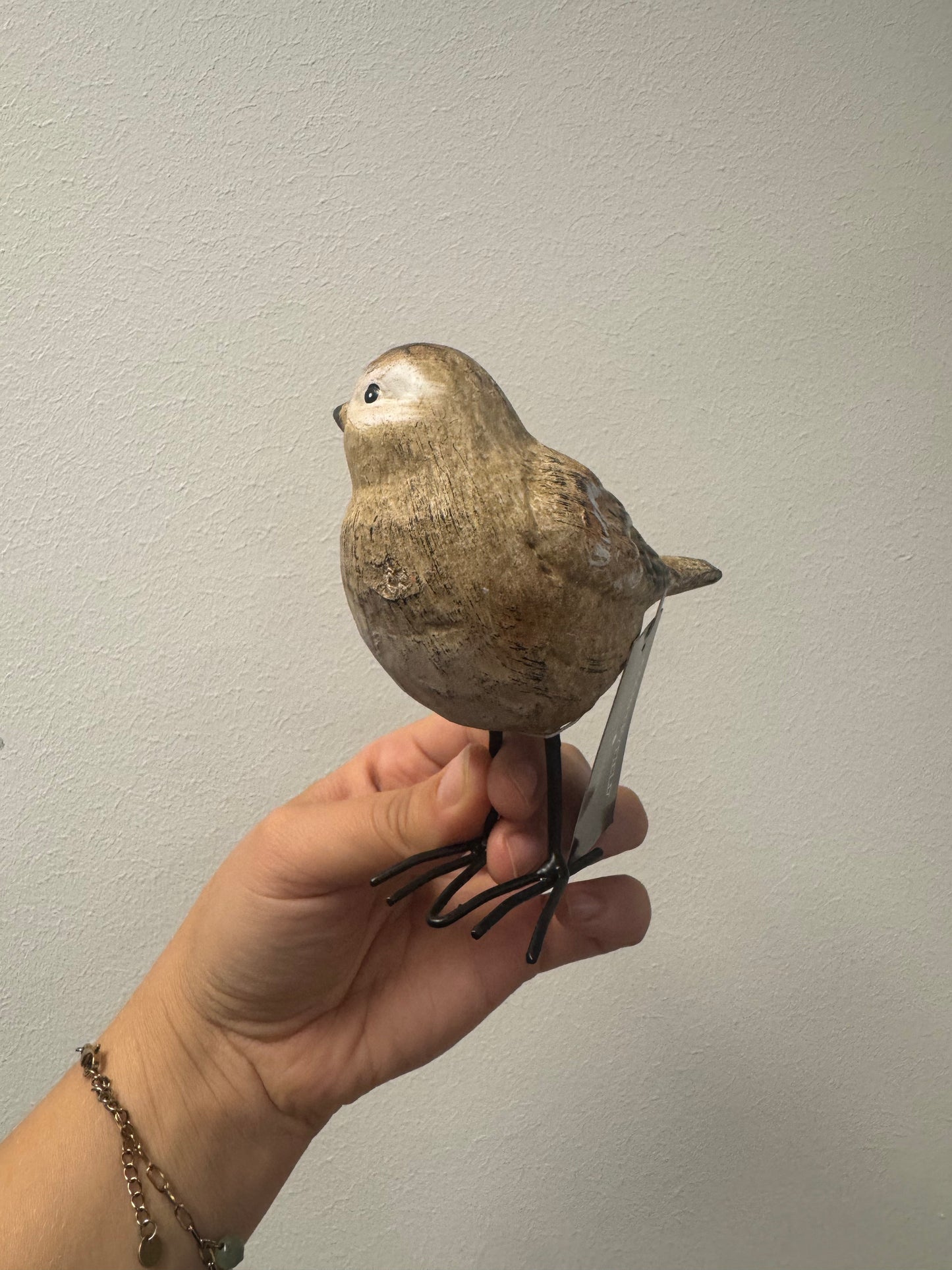 Ornament huismus op pootjes