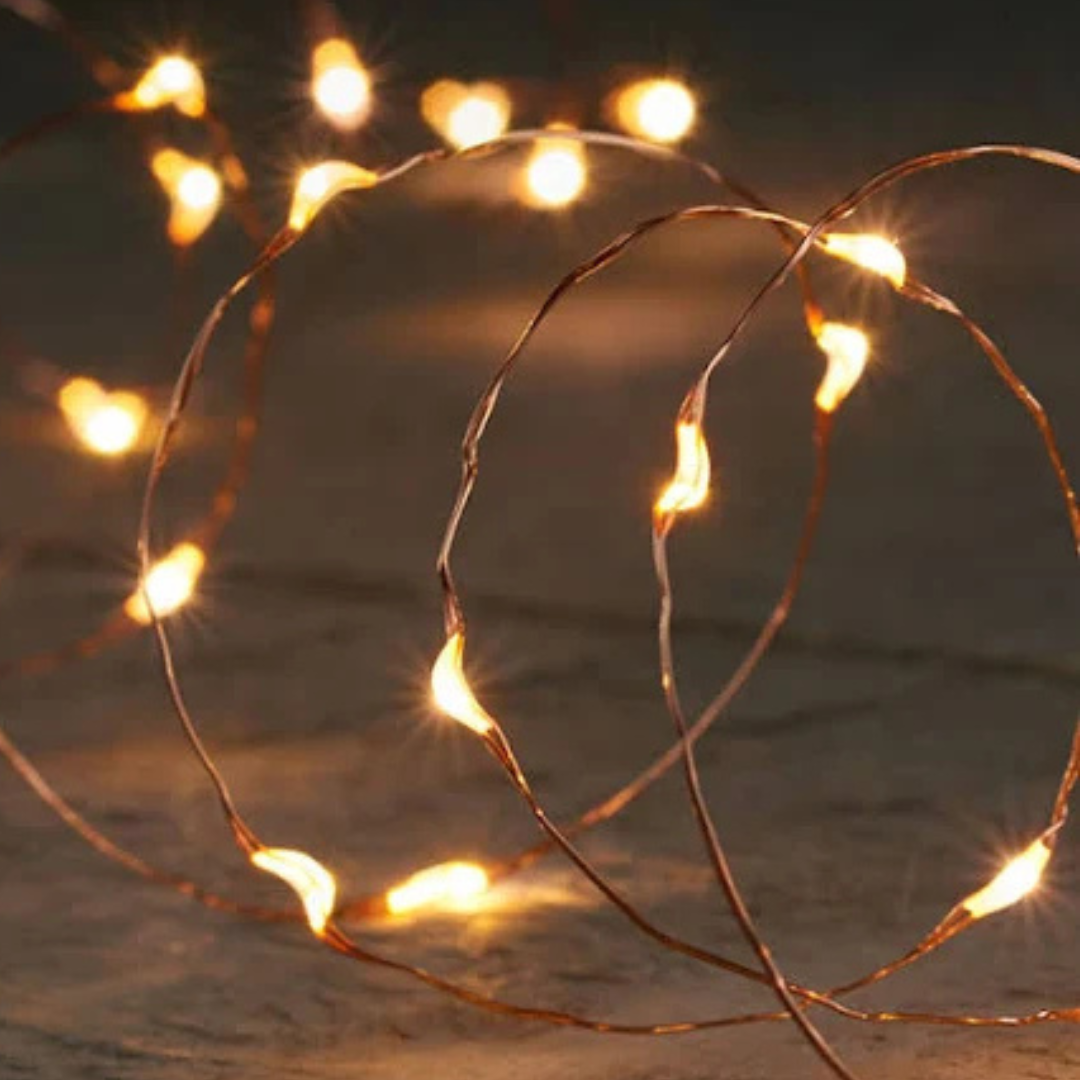 LED koperdraad met lichtjes 1m