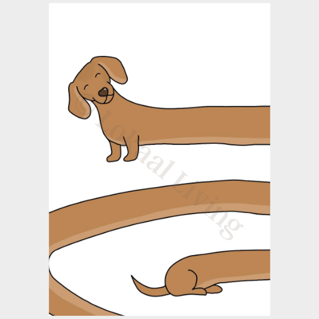 Poster Draaiende teckel