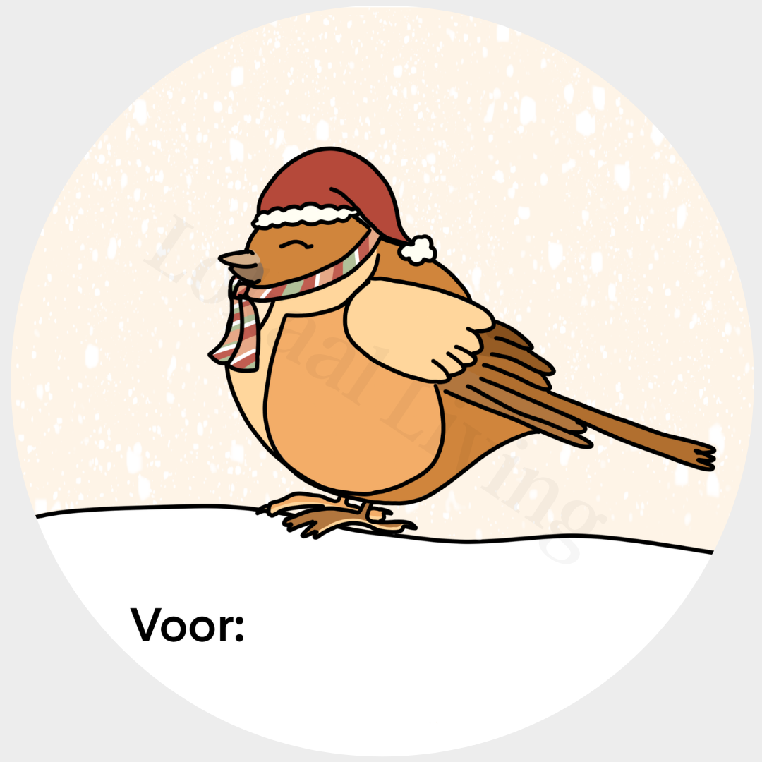 Stickerset Kerstmus (met ruimte voor naam)