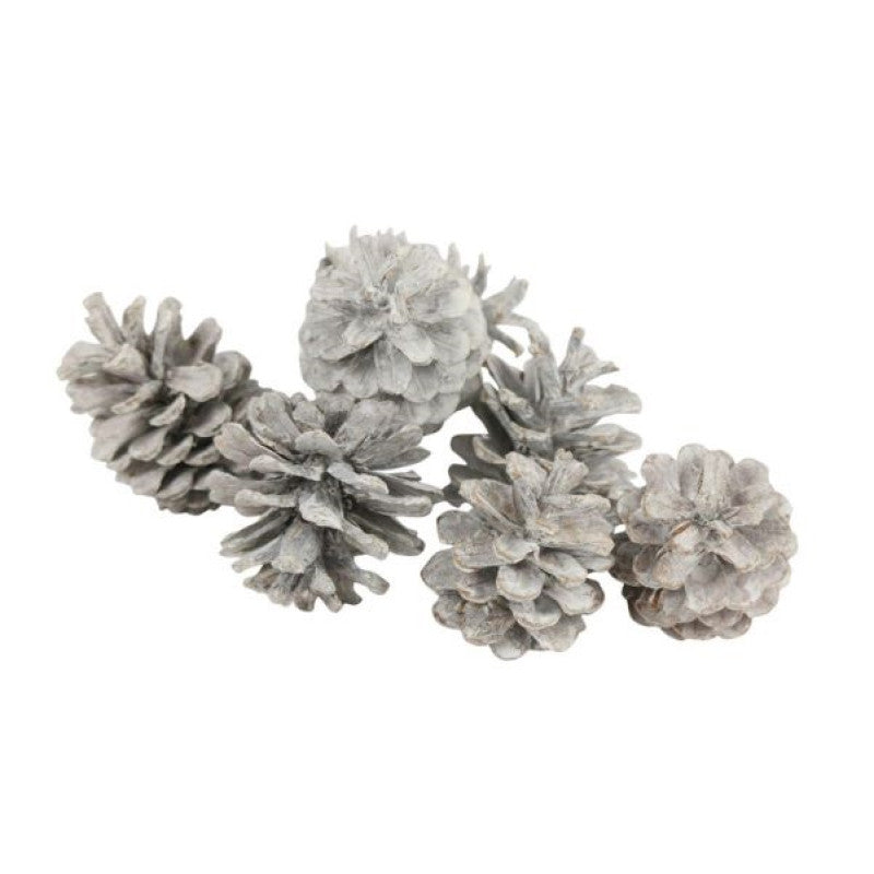 Pick en mix - jouw eigen decoratie scoop