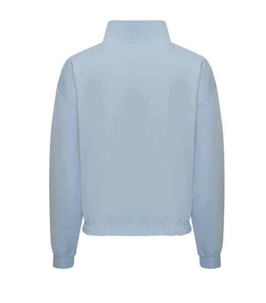 Zipped sweater - Lichtblauw - volwassenen - (ontwerp naar keuze)