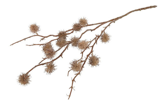 Wonderboom gedroogd beige (kunstbloem)