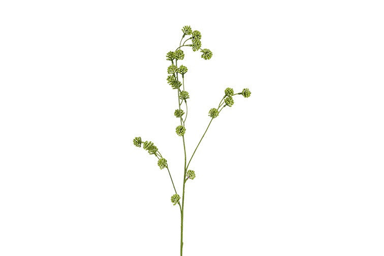 Trifolium (Klaver) (Kunstbloem)