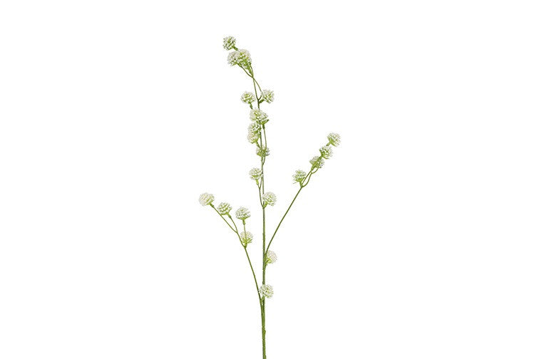 Trifolium (Klaver) (Kunstbloem)
