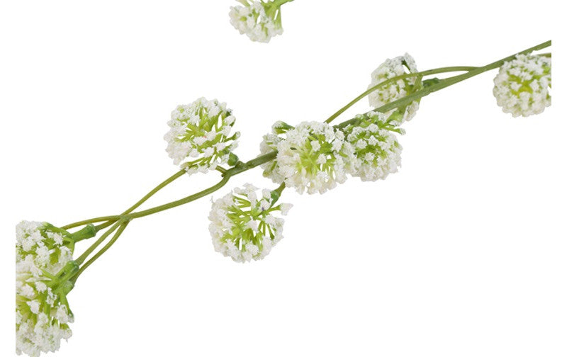 Trifolium (Klaver) (Kunstbloem)