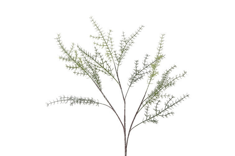 Asparagus (kunstbloem)