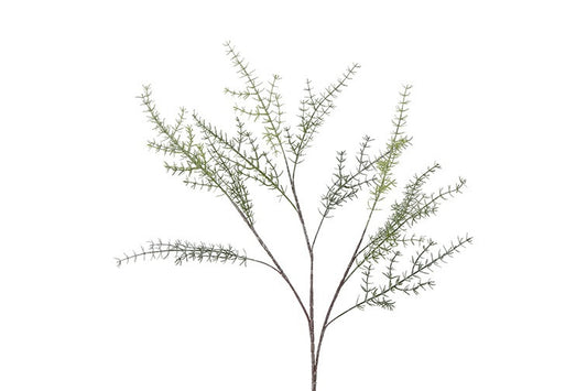 Asparagus (kunstbloem)