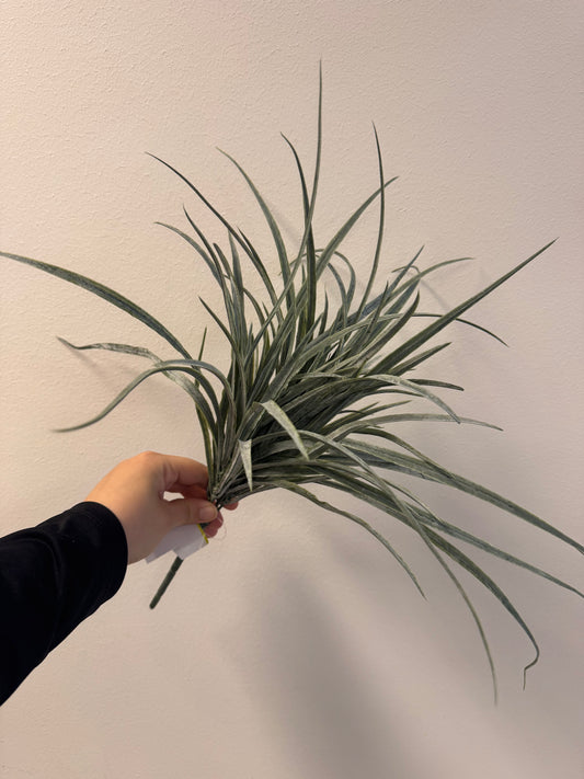 Gras (Kunstplant)
