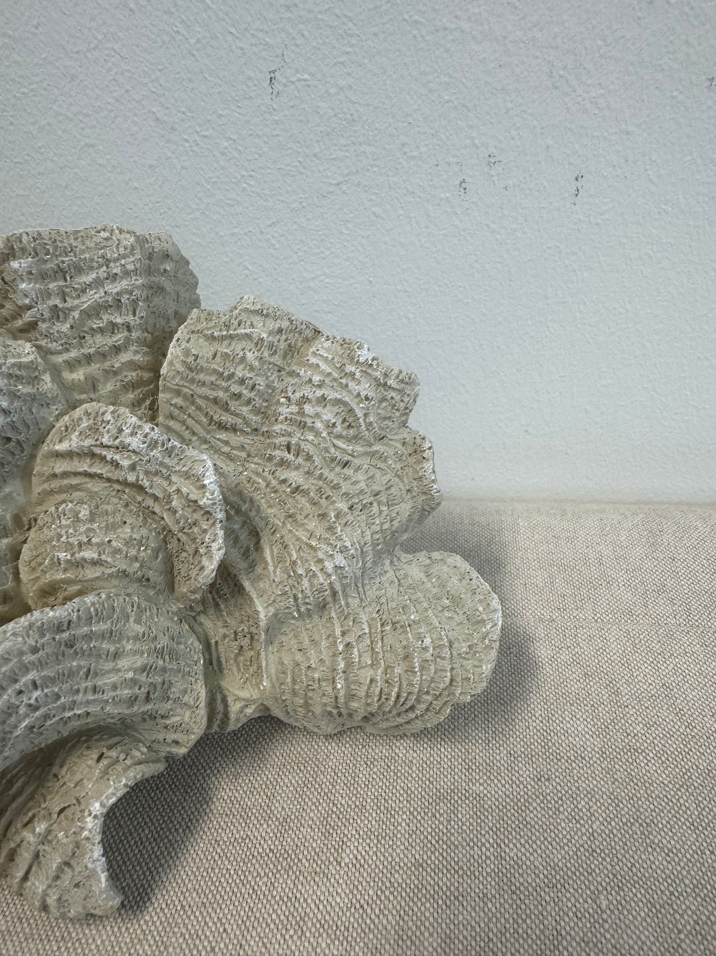 Ornament Koraal