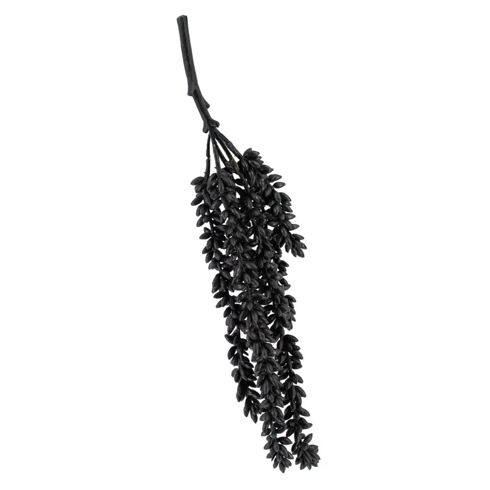 Erwtenplant (klein)