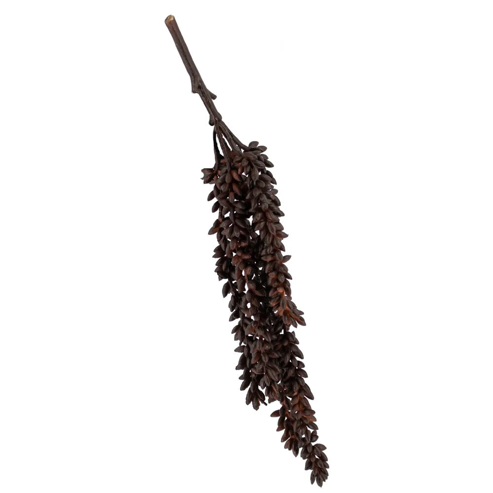 Erwtenplant (klein)
