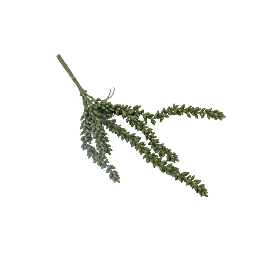 Erwtenplant (klein)