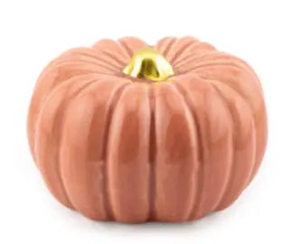 Roze Pompoen ornament