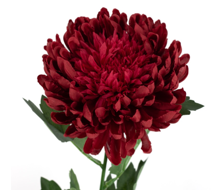 Pluischrysant (kunstbloem)