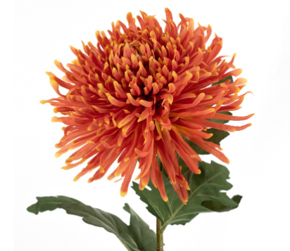 Spiderchrysant (kunstbloem)