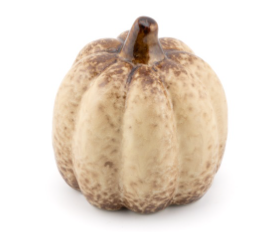 Ornament Pompoen Bruin