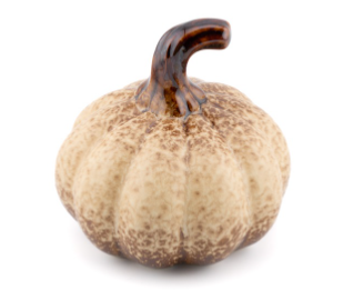 Ornament Pompoen Bruin
