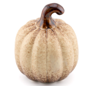 Ornament Pompoen Bruin