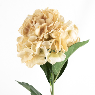 Hortensia 72cm