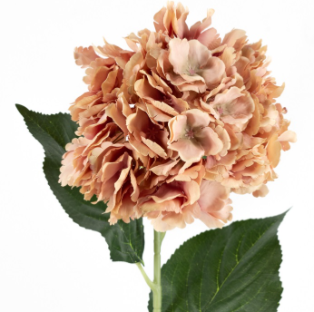 Hortensia 72cm
