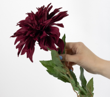 Chrysant Joyce