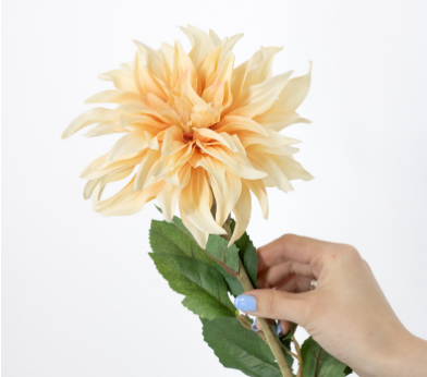 Chrysant Joyce