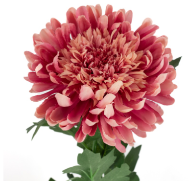 Pluischrysant (kunstbloem)