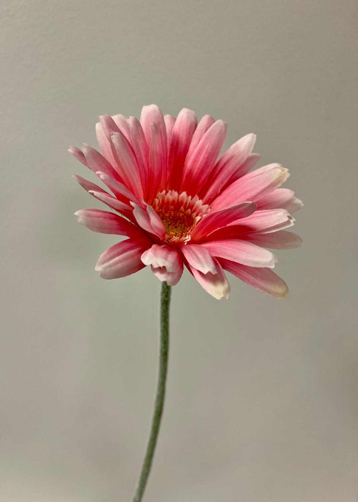 Gerbera hb (kunstbloem)