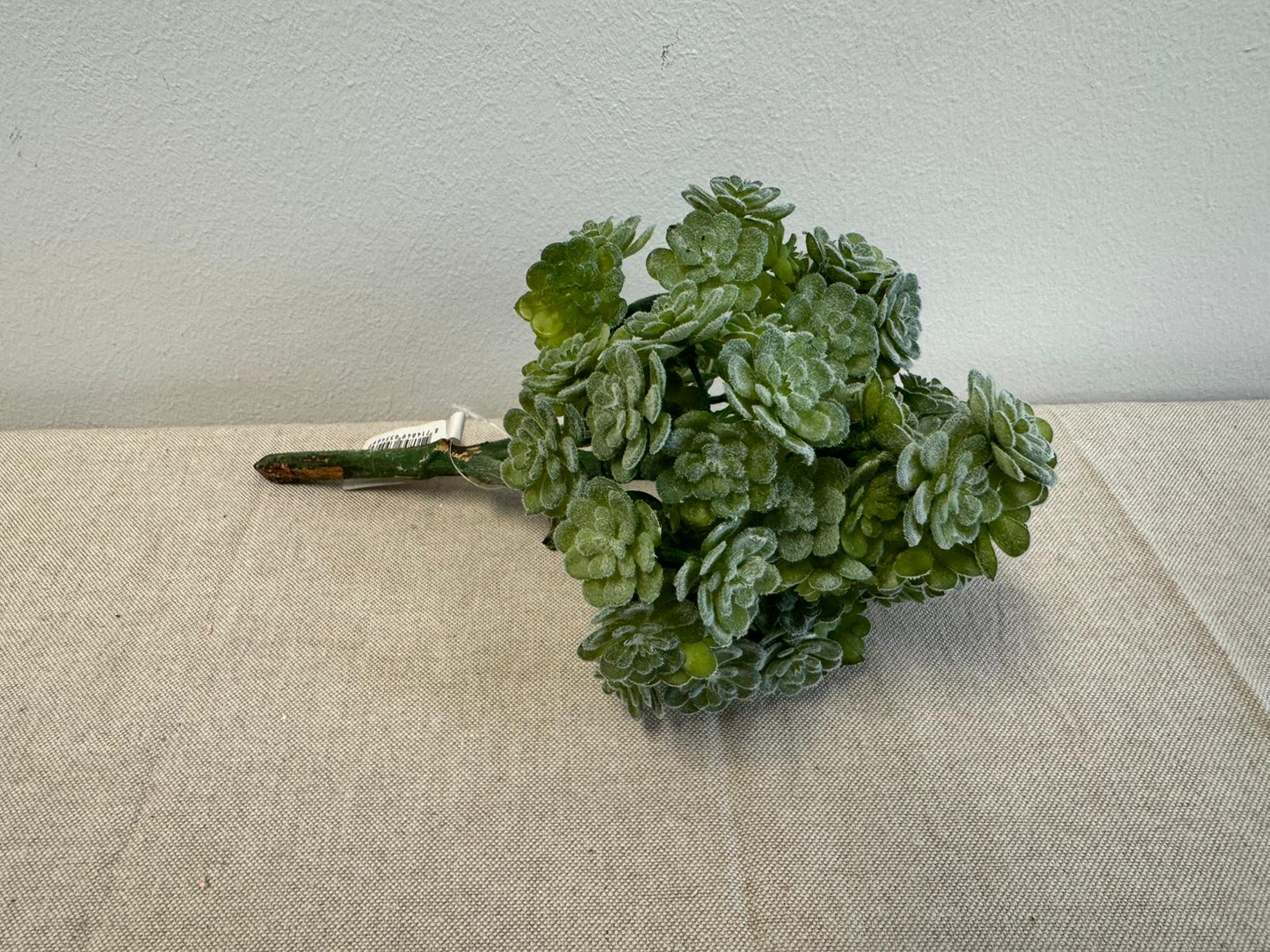 Vetplantje (Kunstplant)