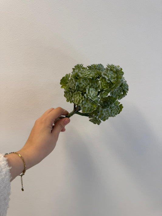 Vetplantje (Kunstplant)