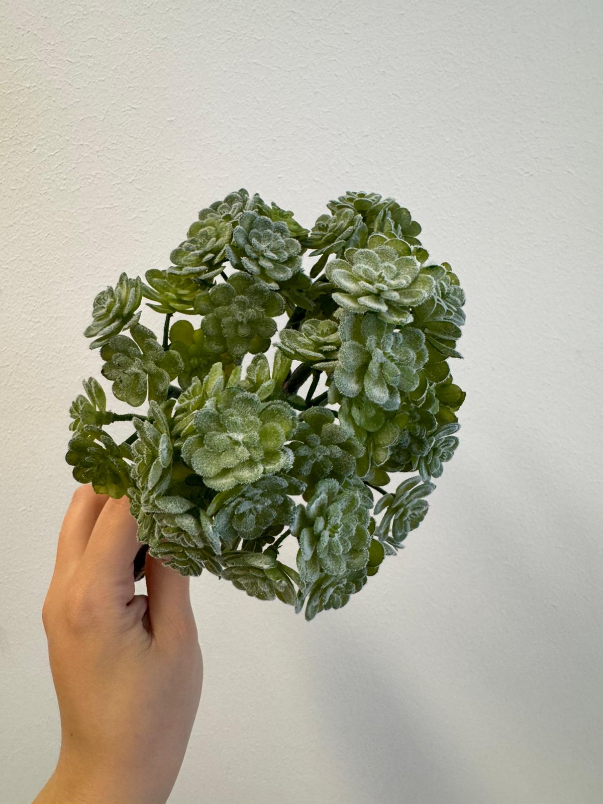 Vetplantje (Kunstplant)