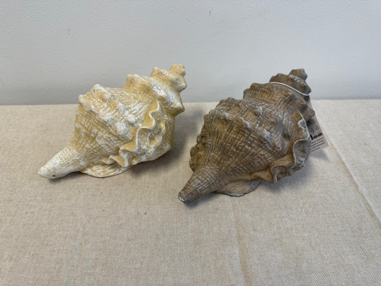 Ornament Schelp