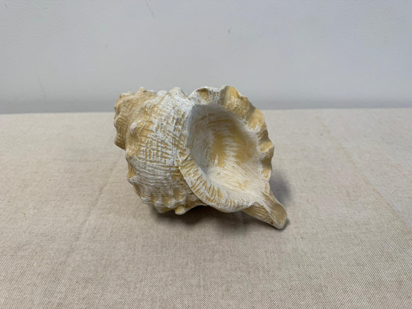 Ornament Schelp