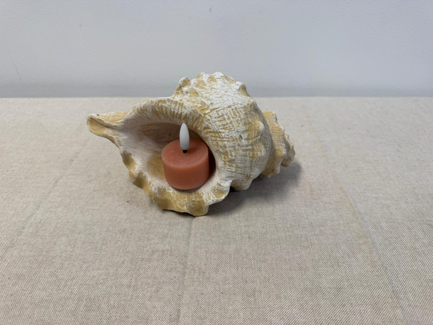 Ornament Schelp