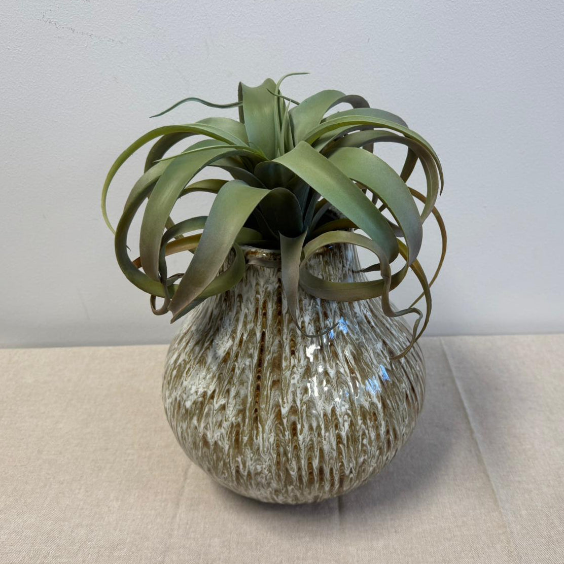 Tillandsia (Kunstplant)