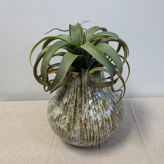 Tillandsia (Kunstplant)