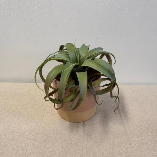 Tillandsia (Kunstplant)