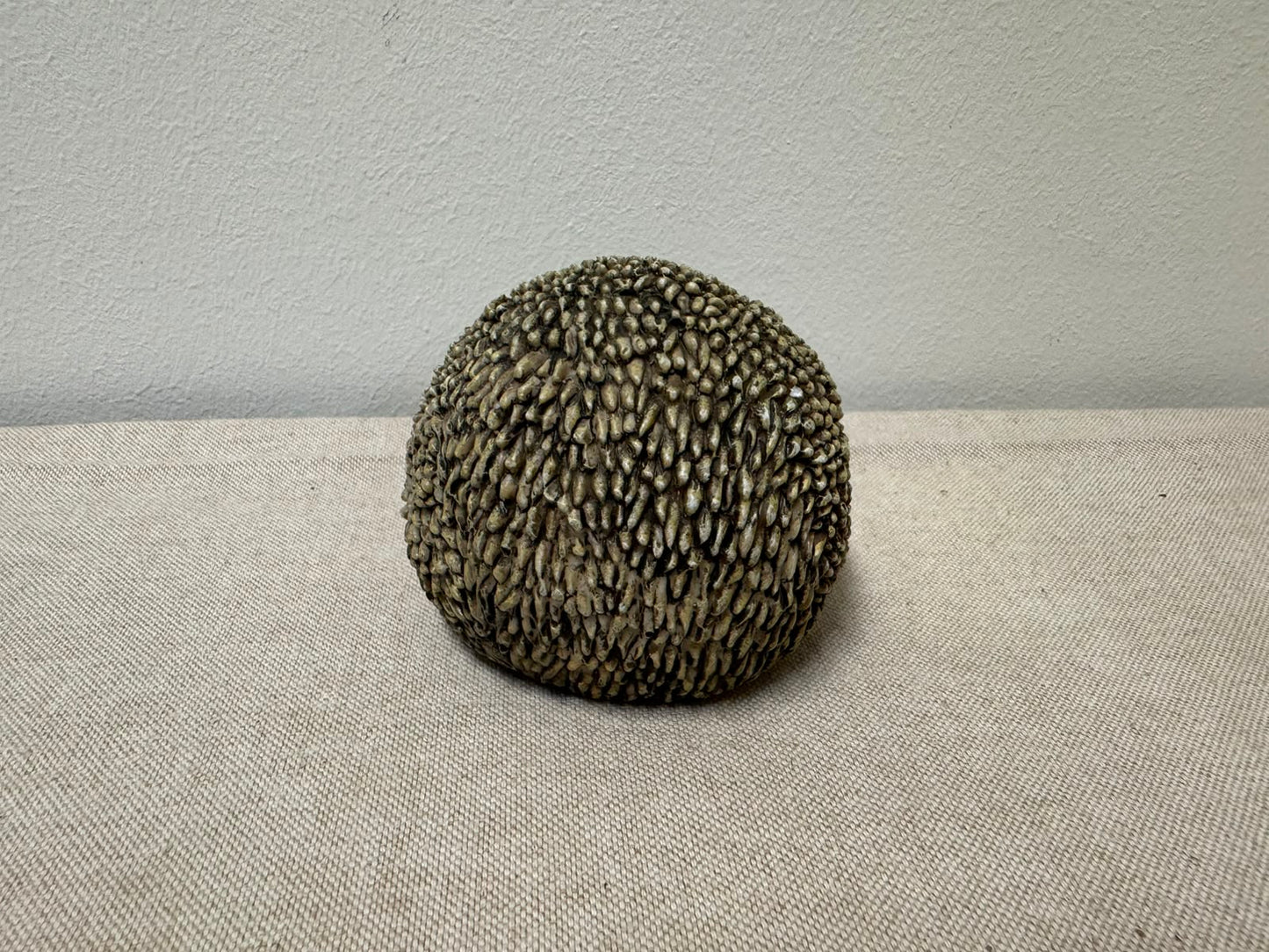 Ornament Egel Walter