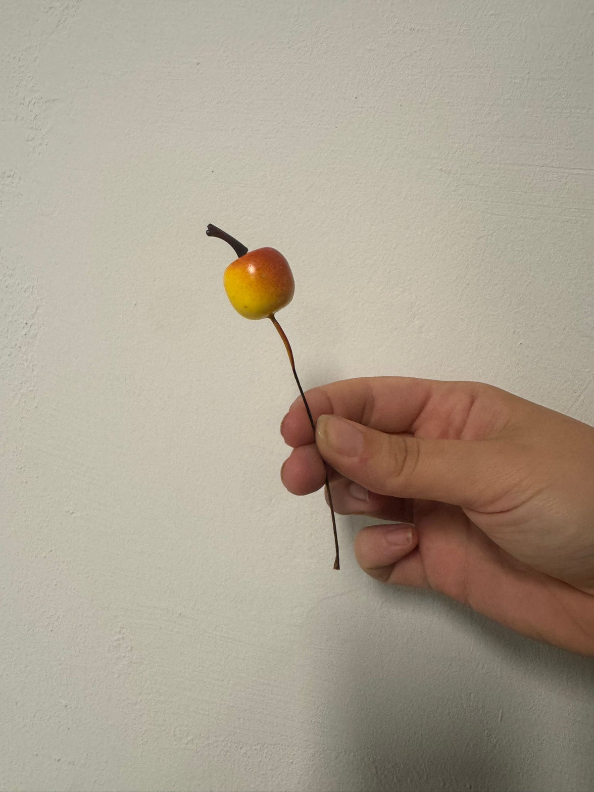 Appeltjes per stuk (steker)