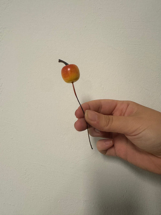 Appeltjes per stuk (steker)