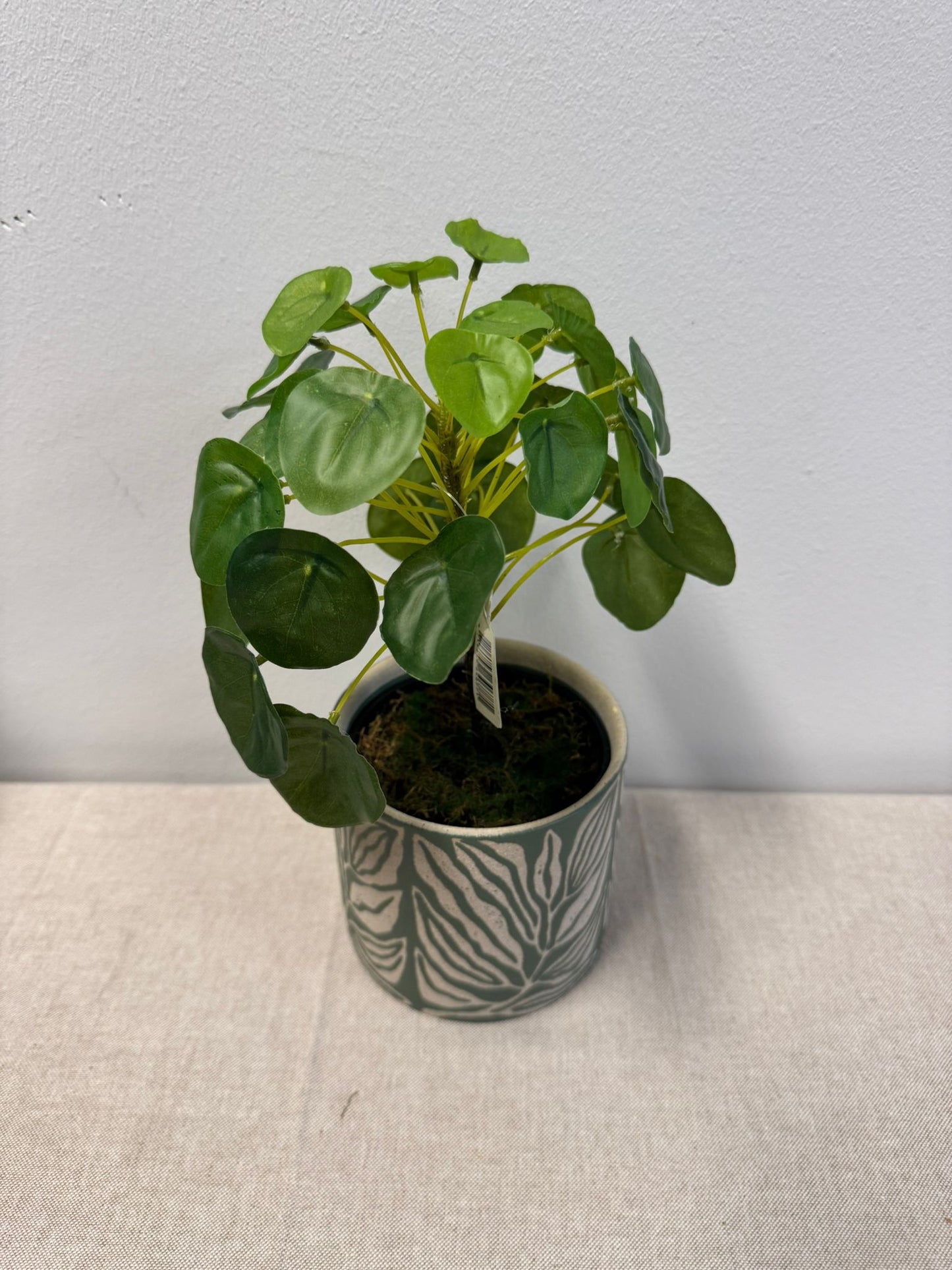 Pannenkoekplant (kunstplant)