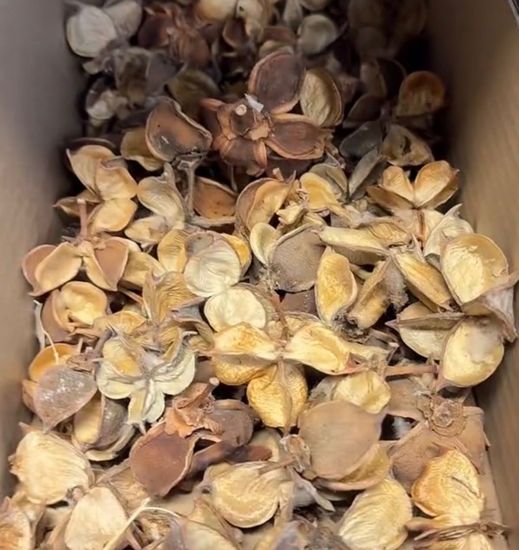 Pick en mix - jouw eigen decoratie scoop