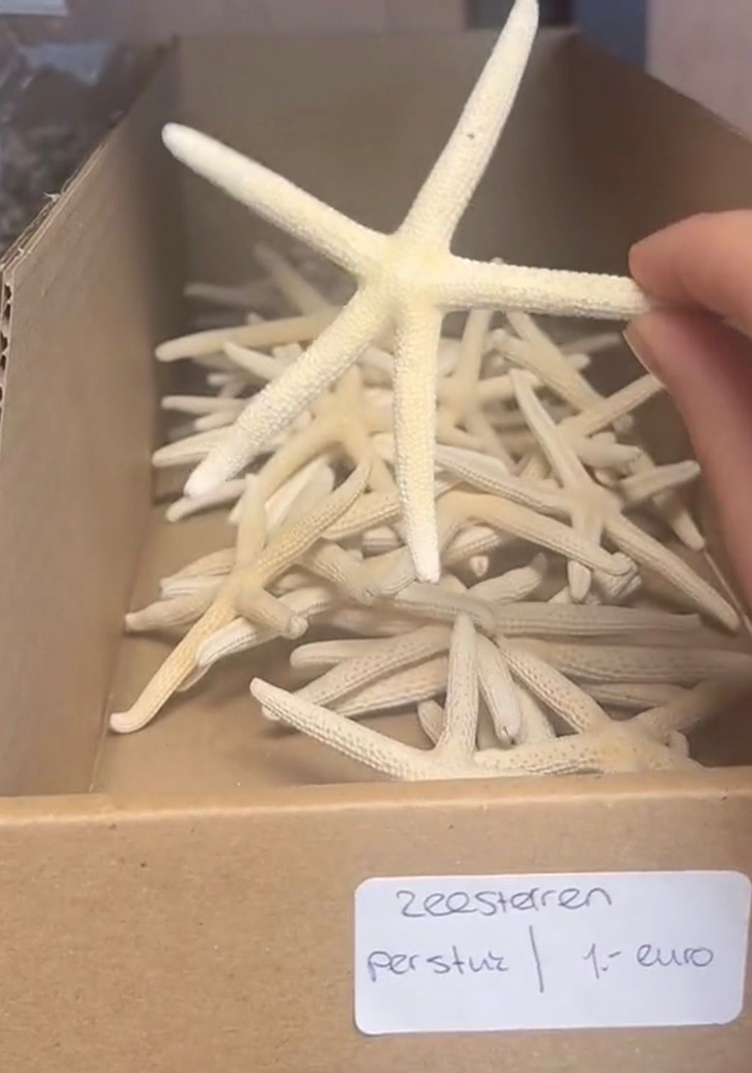 Pick en mix - jouw eigen decoratie scoop