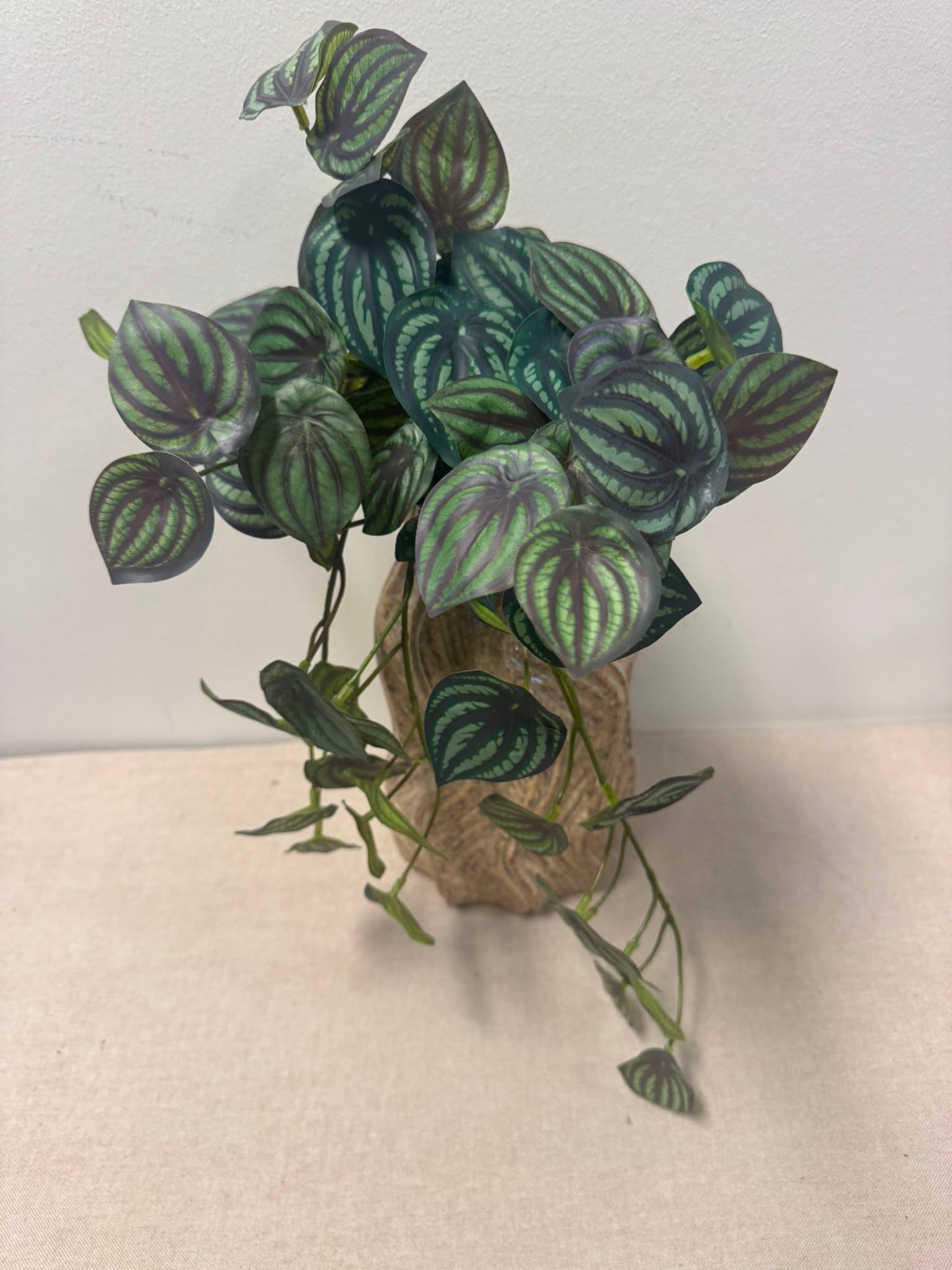 Watermeloen peperomia UV (kunstplant)