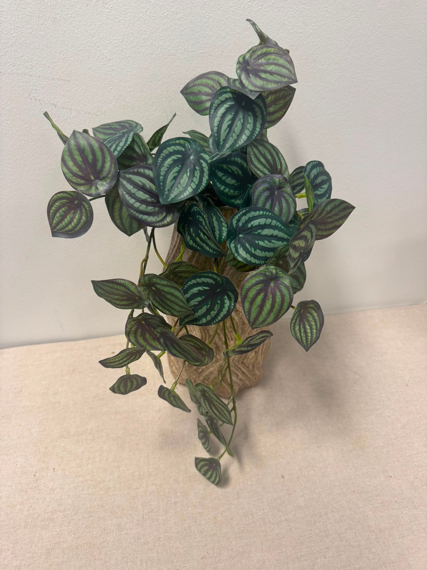 Watermeloen peperomia UV (kunstplant)