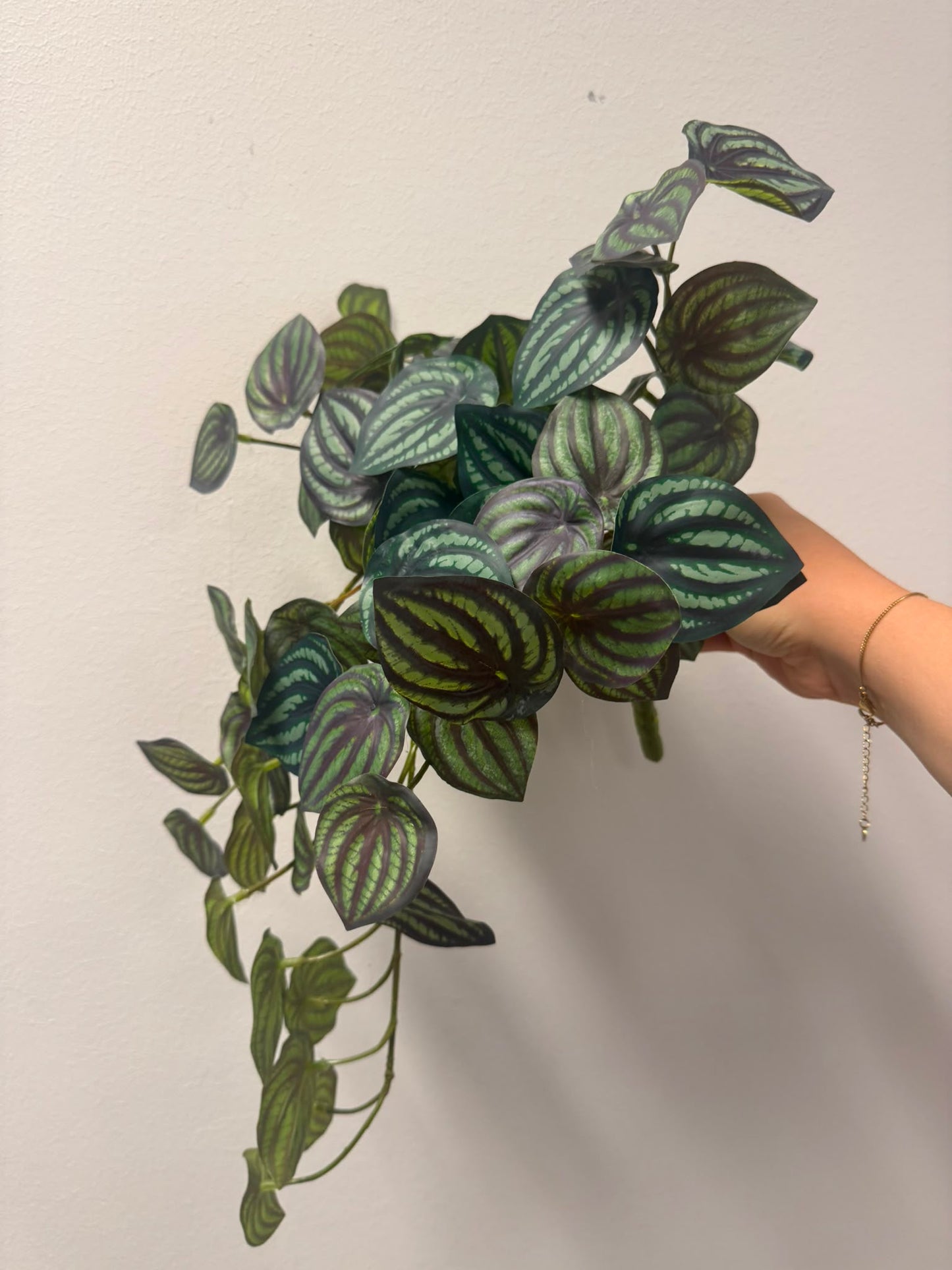 Watermeloen peperomia UV (kunstplant)