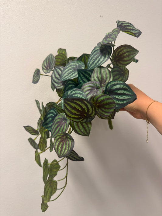 Watermeloen peperomia UV (kunstplant)